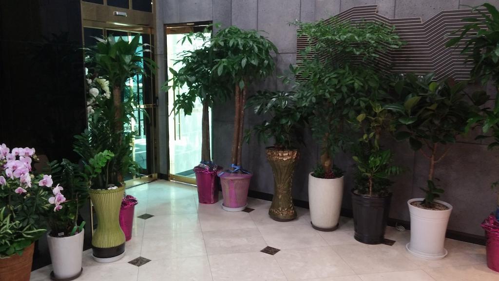 Coop City Hotel Oryu Station Сеул Экстерьер фото